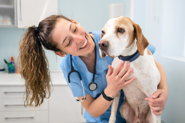 Aposentadoria do médico veterinário